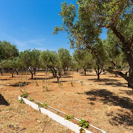 L'albero D'oro By Barbarhouse Bed and breakfast